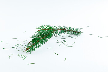 Fallen Spruce Branch with Scattered Needles on White Background