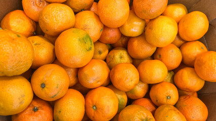 Fresh juicy oranges piled in a box reflecting vibrant citrus colors