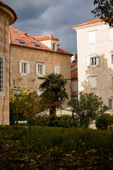 Fototapeta premium Small Palm Trees Among Stone Buildings in Old Town Budva