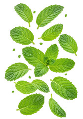 Naklejka premium Vibrant green mint leaves, intricate texture, water droplets, falling against a white background, macro lens studio shot, concept of natural freshness