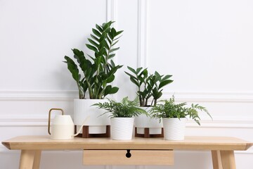 Beautiful potted houseplants and watering can on wooden table near white wall