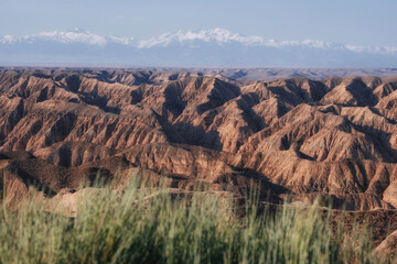 The vast landscape of Kurtogai Canyon near the Charyn River Shows wind-scarred red hills and distant, snow-capped mountain peaks under a clear sky.