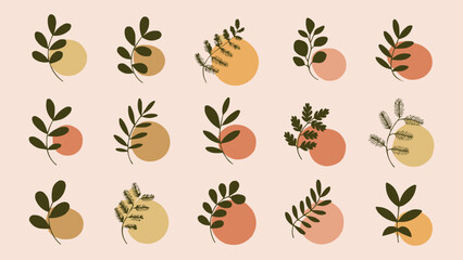 Botanical minimalist leaf icon set with abstract circles and earthy foliage shapes on soft pastel background
