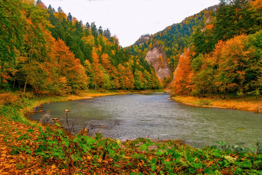 Dunajec river gorge in Pieniny National Park., Poland at autumn day. Dunajec river - popular tourist spot for boat rafting in Poland