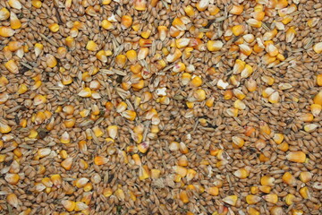 Grains and seeds mixed on a surface showing various types with different colors and sizes in a close-up view