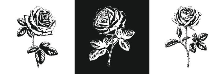 Detailed rose flower silhouette set with blooming rose buds leaves and thorny stem in bold black and white vintage botanical style