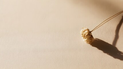 Dried Flower on Beige Paper