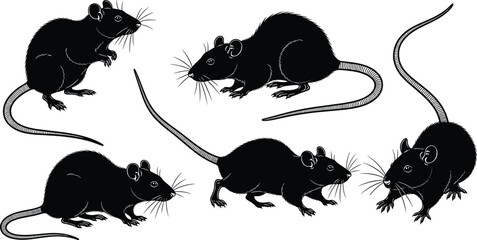 Traditional Chinese Dragon Silhouettes Vector Collection, Illustrating Oriental Mythological Creatures in Dynamic Poses, Emphasizing Power, Fortune, Asian Culture, Legend, and Detailed Fantasy Artwork