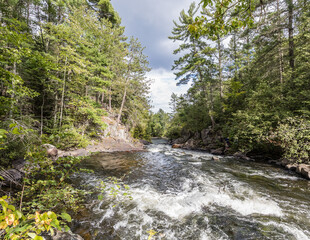 waterfall in the forest
