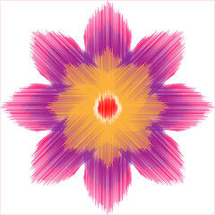 pink flower isolated on white