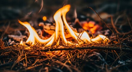 Small fire burning in dry pine needles and twigs, a conceptual image for wildfire prevention and fire safety campaigns