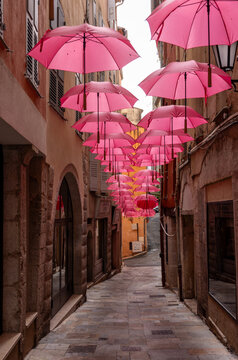 Fototapeta  Streets of Grasse, a city known for its perfumery, decorated with pink umbrellas on the occasion of the annual international exhibition of roses - Expo Rose.