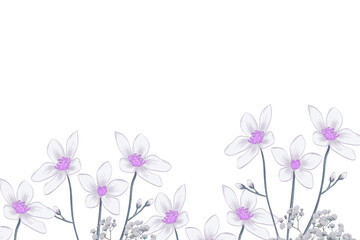 Naklejka premium Delicate white and purple flowers blooming against a stark black background