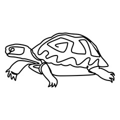 Land turtle walking line drawing