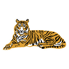 Laying tiger hand drawn