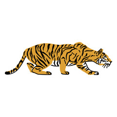 Lurking tiger hand drawn