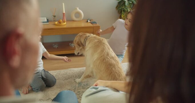 Household members instruct retriever with calming orders