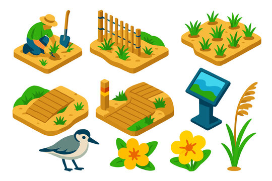 Coastal Dune Restoration. Isometric vector illustration set Climate action &ndash; coastal dune restoration, sand fence, dune grass