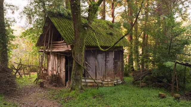 A rustic wooden cabin with a moss-covered roof sits quietly in a sunlit forest clearing, surrounded by tall trees and earthy textures, evoking off-grid living, simplicity, and a peaceful retreat into 