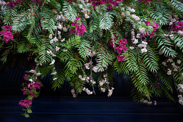 Floral and artificial decoration on a blue wall
