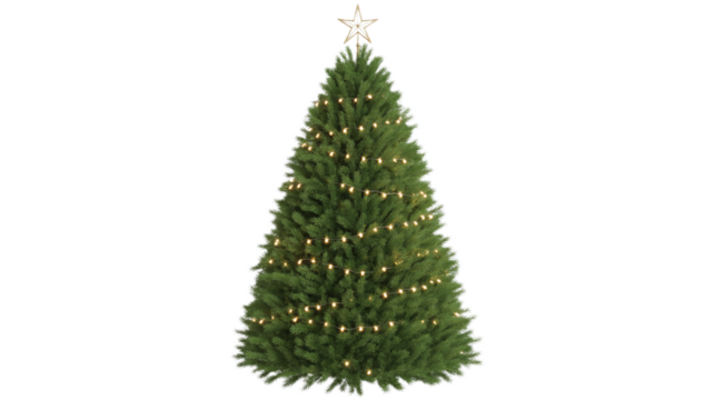 Classic Isolated Green Christmas Tree with Golden String Lights and Star Topper on Pure White Background for Holiday Decoration - Powered by Adobe