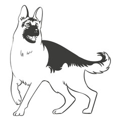 German shepherd dog hand drawn