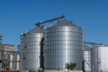 Multiple modern industrial silos stand prominently for bulk grain storage, connected by conveyors under a bright blue sky on a clear day.