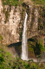 Waterfall amid the vegetation of cloud forests in the Colombian Andes, with the power of water falling between rocks and trees surrounded by the humidity of the environment.