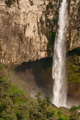 Waterfall amid the vegetation of cloud forests in the Colombian Andes, with the power of water falling between rocks and trees surrounded by the humidity of the environment.