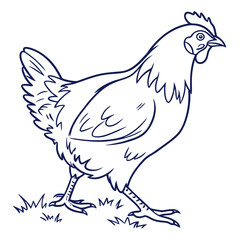 Line Drawing of a Chicken Walking on Grass Keywords: chicken, hen, bird, poultry, farm, animal
