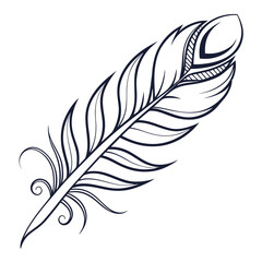 Decorative Stylized Feather with Swirls on White Background quill bird