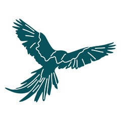 Fototapeta premium Parrot macaw bird flying