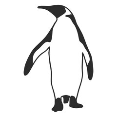 Bird penguin animal silhouette