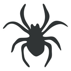 Spider animal arachnid gray silhouette