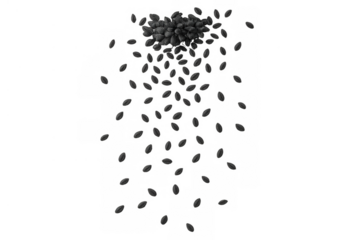 Coffee beans falling and scattering motion blurring on transparent background, top view raw caffeinated