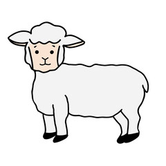 vector illustration of a sheep