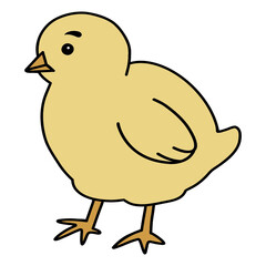 Vector illustration of a Chick