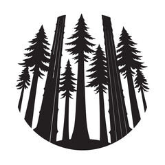 Ancient Redwood Tree Row Silhouette Landscape