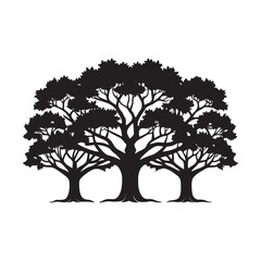 Obraz premium Ancient Oak Tree Line Silhouette Artwork