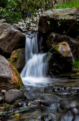Un arroyo en Songos.