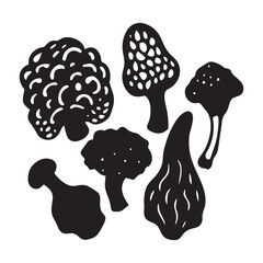 Vector file" text placeholder on white background graphic.