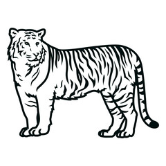 Tiger side stroke