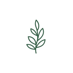 Minimal botanical line art leaf branch in forest green, nature concept