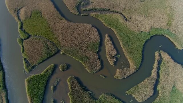 Drone View Of Meandering River Delta From High Altitude, Geographical Pattern, Water System, Aerial