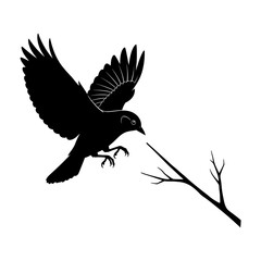 bird pigeon with wings on white background silhouette vector design illustration