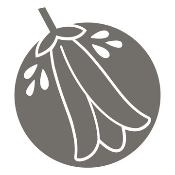 Chilean bellflower monochrome