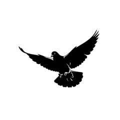 eagle silhouette isolated on white