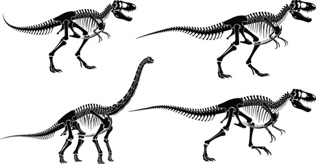 Prehistoric Dinosaur Skeleton Set: Detailed Vector Illustrations of Extinct Reptile Fossils, Including Tyrannosaurus Rex and Long-Necked Brachiosaurus or Apatosaurus.