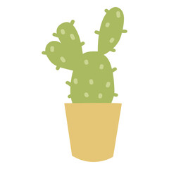 Desert plant cactus flat