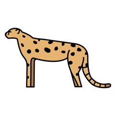 Cheetah fierce animal color stroke